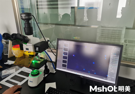 國產正置熒光顯微鏡用于CTC檢測.jpg 國產正置熒光顯微鏡用于CTC檢測.jpg