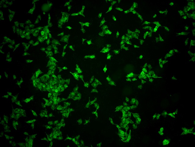 圖片4.jpg 圖片4.jpg