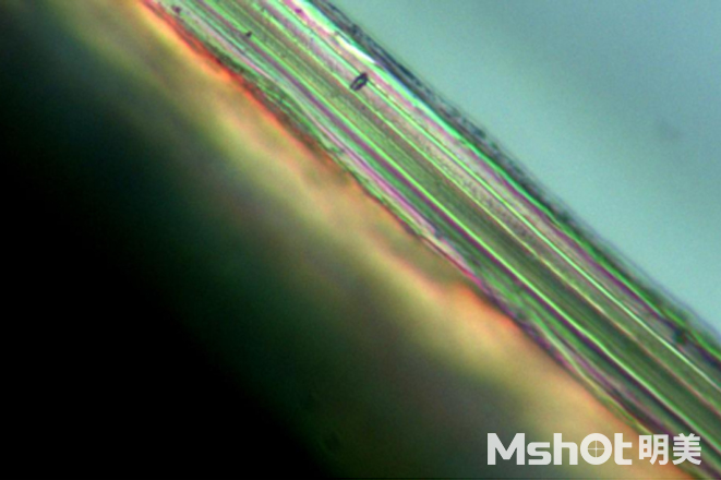 倒置顯微鏡MI52-CF